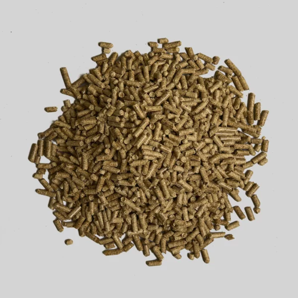 Pellet Green Dragon Gold certificato ENplus® A1 - immagine 3